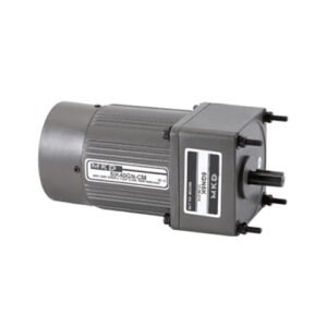 Standard Induction Gear Motor